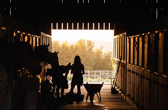 Ranch with animals